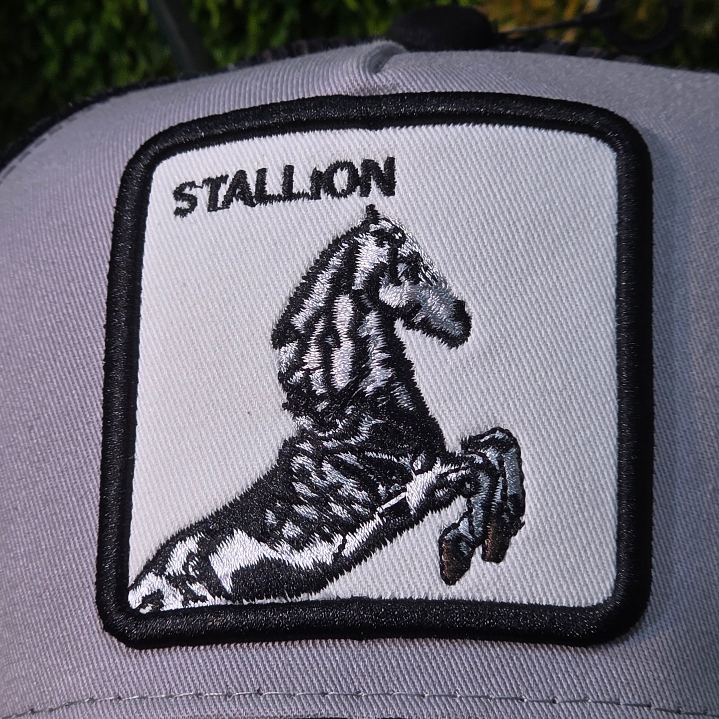 Goorin Bros Stallon