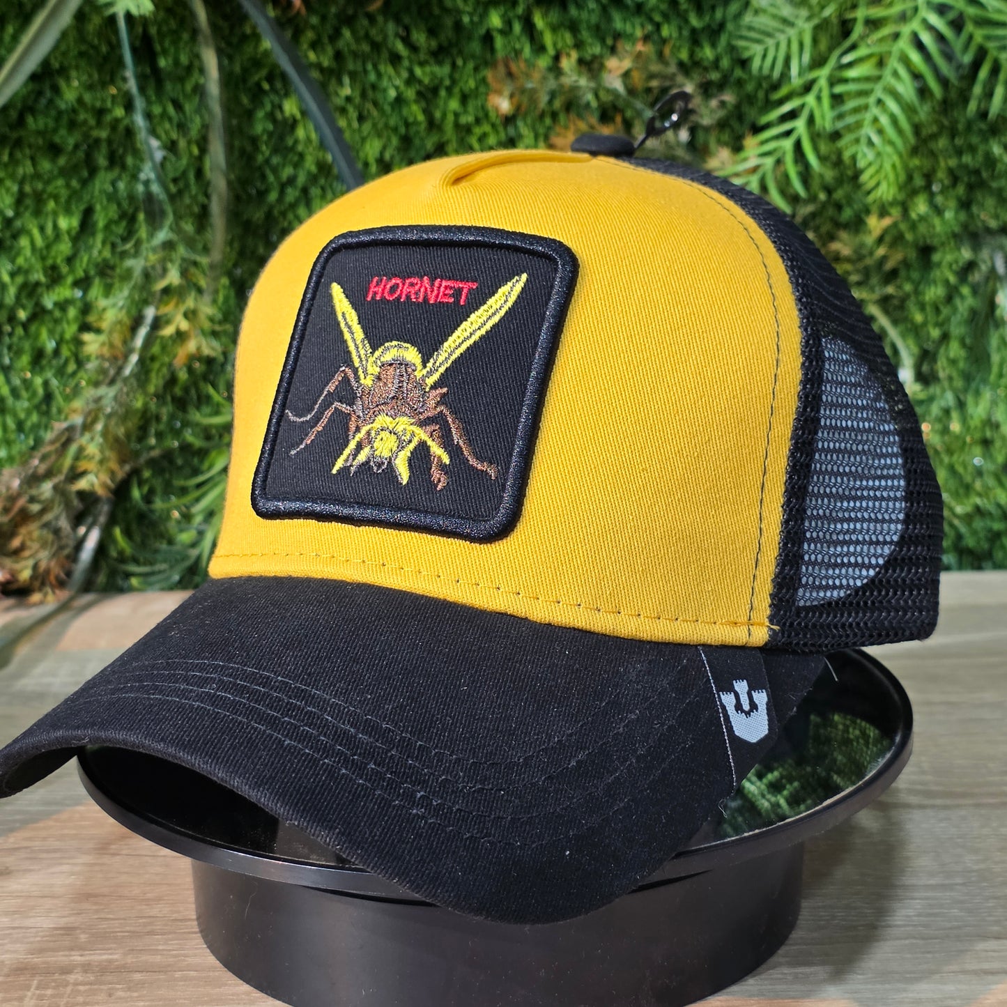 Goorin Bros Hornet Dortmund