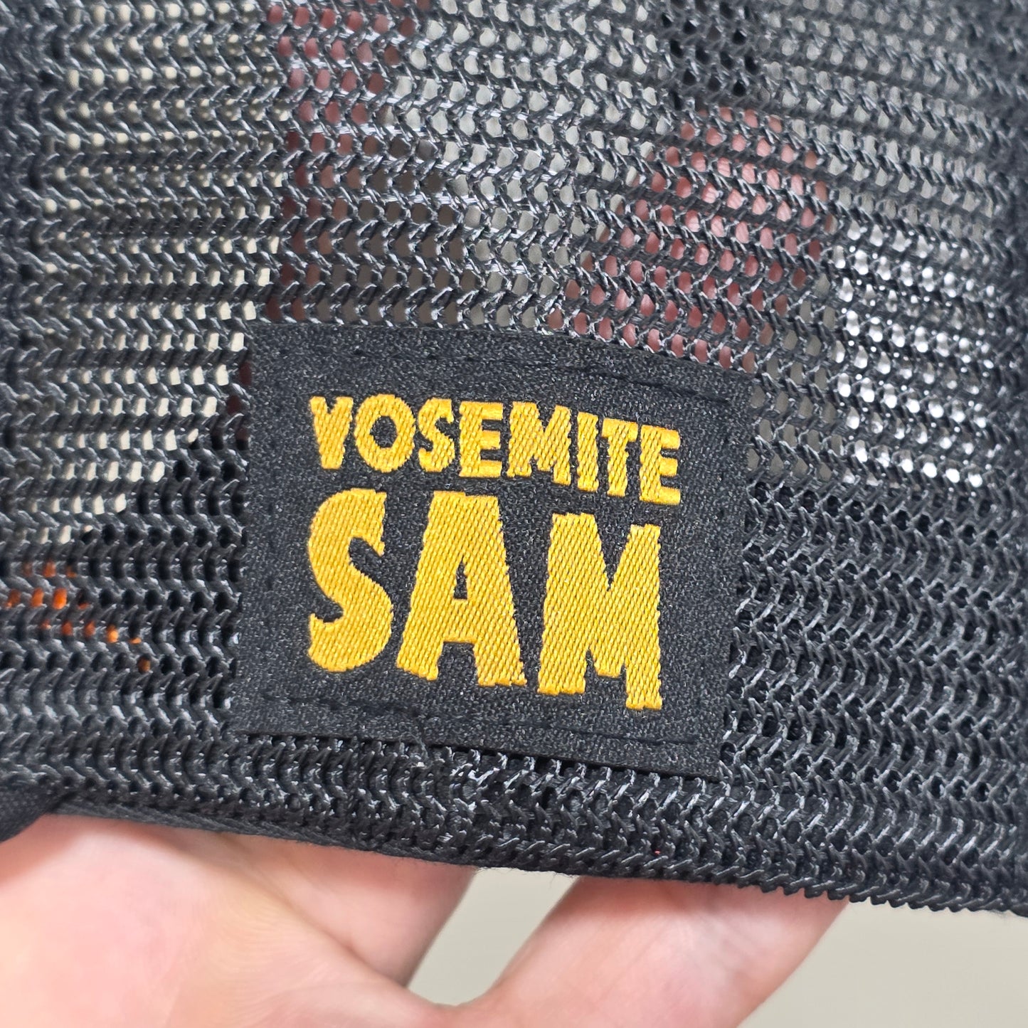 Capslab x Looneytunes Sam