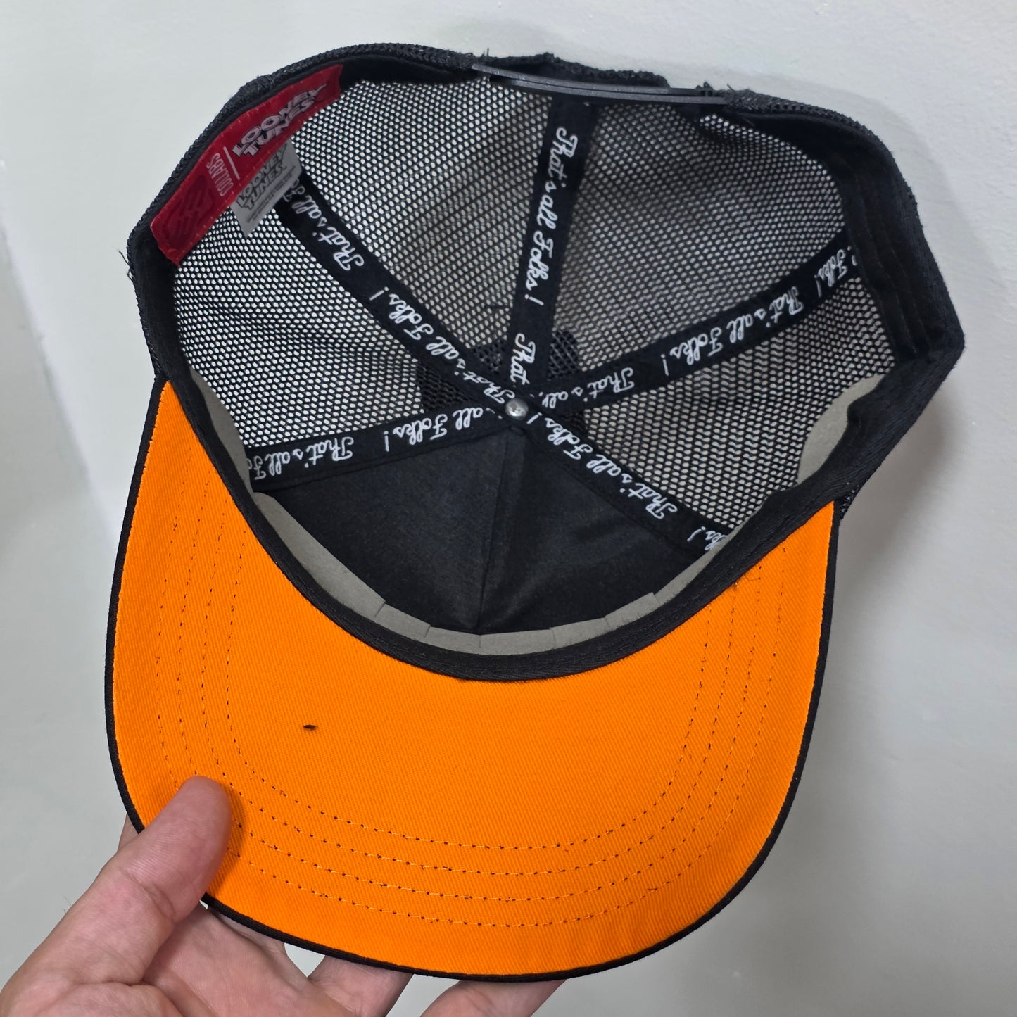 Capslab x Looneytunes Sam