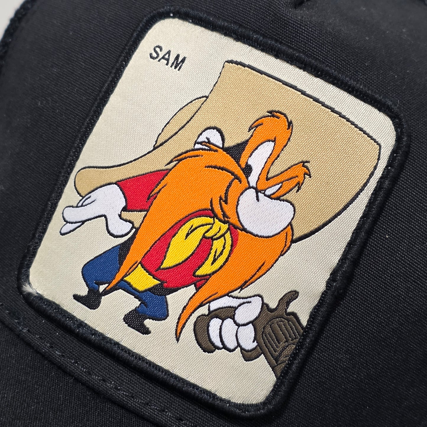 Capslab x Looneytunes Sam